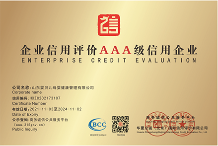 Z6集团公司荣誉