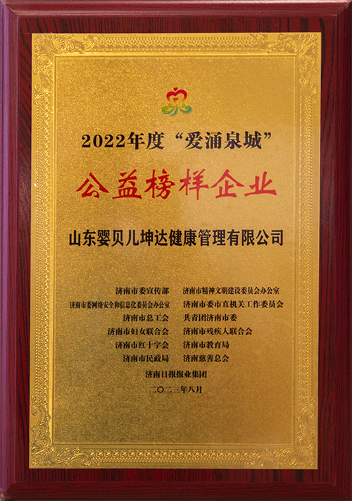 Z6集团公司荣誉