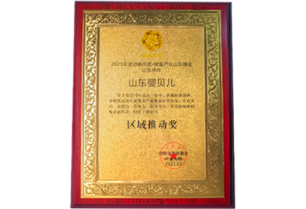 Z6集团公司荣誉