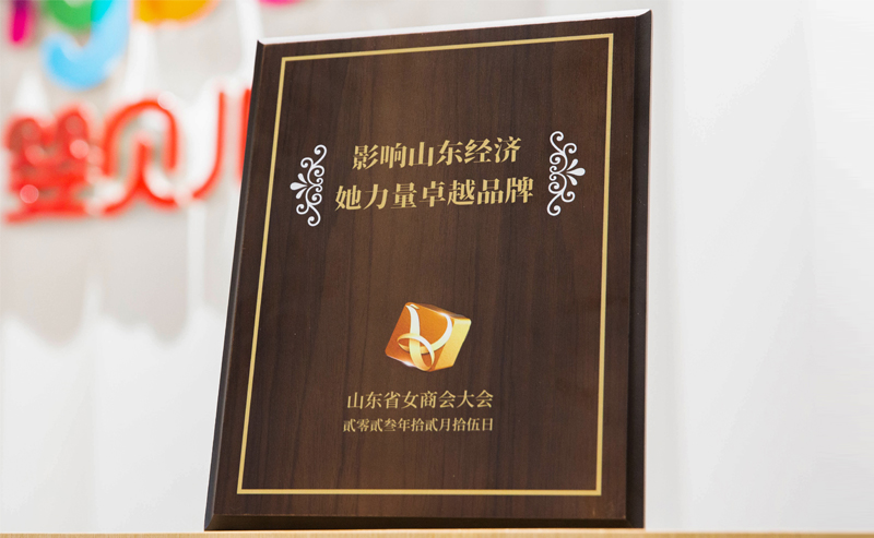 Z6集团公司荣誉