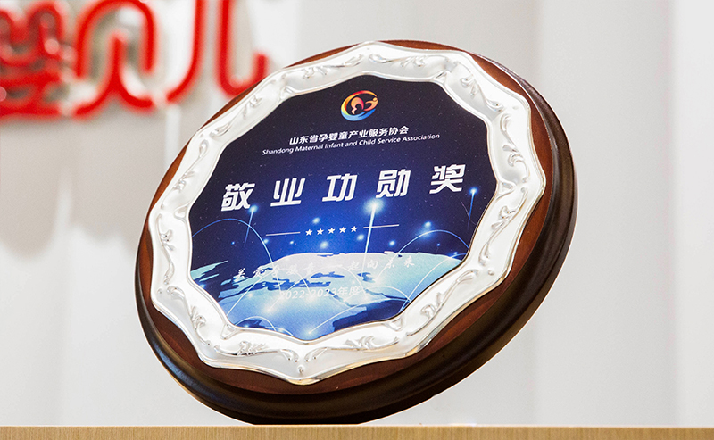 Z6集团公司荣誉